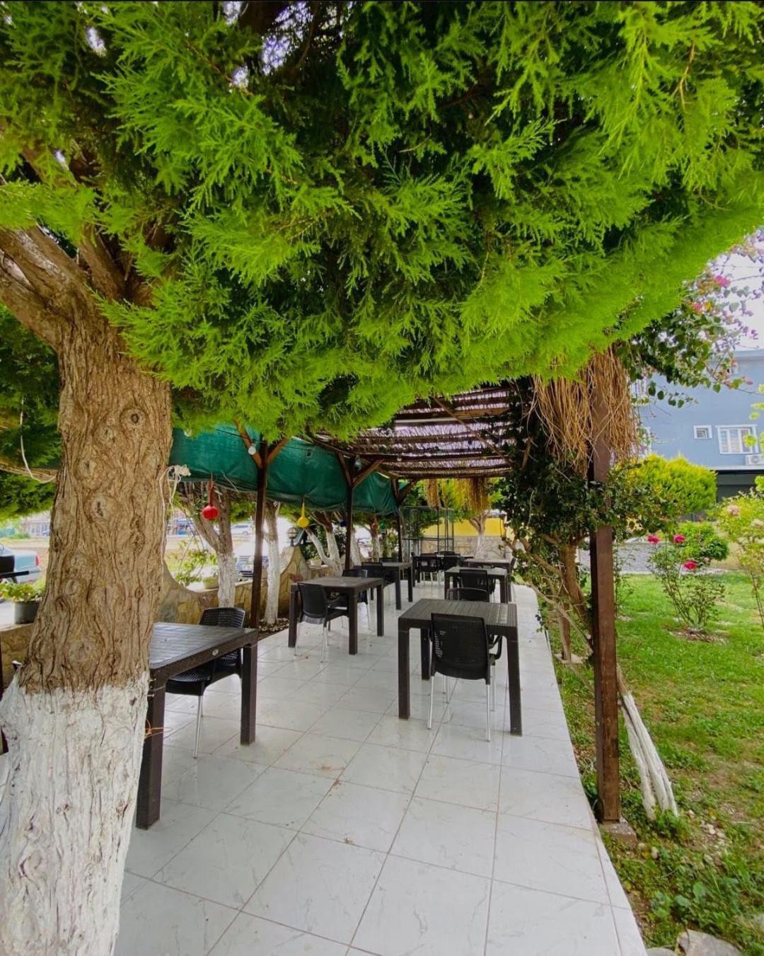 Mandarin Beach Hotel Gümüldür Zewnętrze zdjęcie